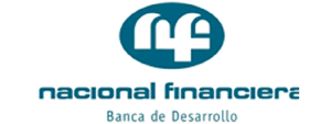 Nacional Financiera